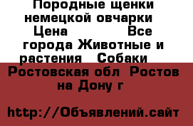 Породные щенки немецкой овчарки › Цена ­ 24 000 - Все города Животные и растения » Собаки   . Ростовская обл.,Ростов-на-Дону г.